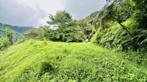 osa-tropical-properties Ocean view lot for sale in Tres Rios 4029 53