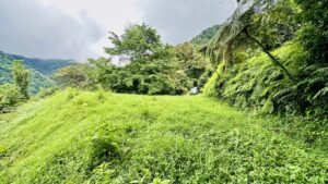osa-tropical-properties Ocean view lot for sale in Tres Rios 4029 53