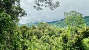 osa-tropical-properties Ocean view lot for sale in Tres Rios 4029 55