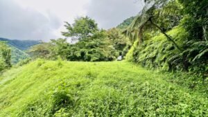 osa-tropical-properties Ocean view lot for sale in Tres Rios 4029 56