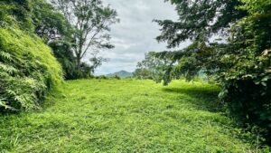 osa-tropical-properties Ocean view lot for sale in Tres Rios 4029 57