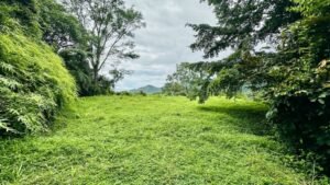 osa-tropical-properties Ocean view lot for sale in Tres Rios 4029 57