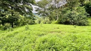 osa-tropical-properties Ocean view lot for sale in Tres Rios 4029 61