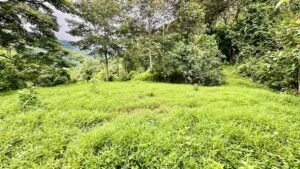 osa-tropical-properties Ocean view lot for sale in Tres Rios 4029 62