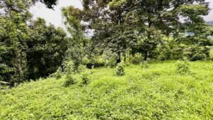 osa-tropical-properties Ocean view lot for sale in Tres Rios 4029 63