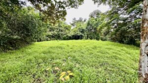osa-tropical-properties Ocean view lot for sale in Tres Rios 4029 67
