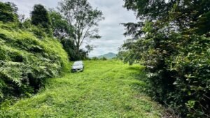 osa-tropical-properties Ocean view lot for sale in Tres Rios 4029 68