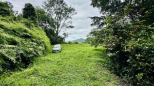 osa-tropical-properties Ocean view lot for sale in Tres Rios 4029 68