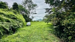 osa-tropical-properties Ocean view lot for sale in Tres Rios 4029 69