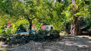 4563 Income Property For Sale in Ojochal 52