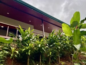 4913 Phase 2 two bed House Tres Rios 02