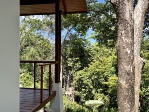 4913 Phase 2 two bed House Tres Rios 30