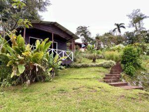 4915 Cabinas Tinamastes 15