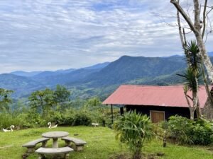 4915 Cabinas Tinamastes 16