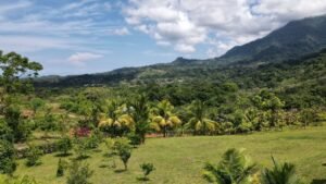 5432 – Luxury Ocean View Home with Chic Riverfront Cabins_43