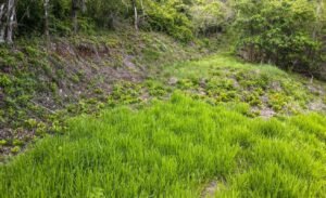 5507 – Tres Rios Cascada Azul Lot #1_04