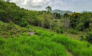 5507 – Tres Rios Cascada Azul Lot #1_07