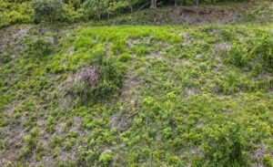 5507 – Tres Rios Cascada Azul Lot #1_10