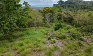5507 – Tres Rios Cascada Azul Lot #1_13