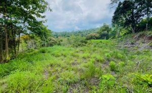 5507 – Tres Rios Cascada Azul Lot #1_16