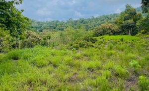5507 – Tres Rios Cascada Azul Lot #1_18