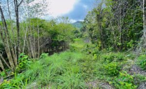 5507 – Tres Rios Cascada Azul Lot #1_19