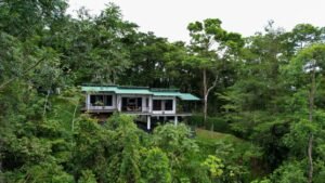 5514 – Lagunas 2 Bedroom Jungle Canopy Retreat with Ocean View_01