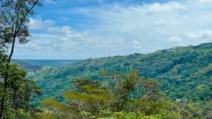 5514 – Lagunas 2 Bedroom Jungle Canopy Retreat with Ocean View_05