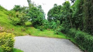 6. JARDINES Y PLANTELES 17