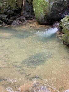 Dan Lancinger Property For Sale Ojochal Costa Rica 16