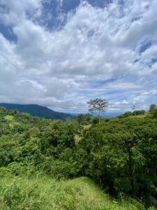Dan Lancinger Property For Sale Ojochal Costa Rica 21