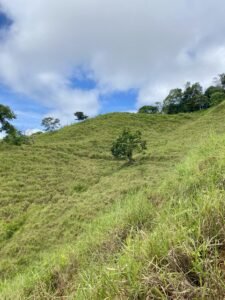 Dan Lancinger Property For Sale Ojochal Costa Rica 23