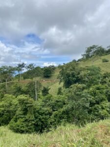 Dan Lancinger Property For Sale Ojochal Costa Rica 24
