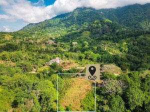 Diseño sin título (3)