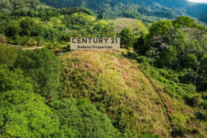 Diseño sin título (4)