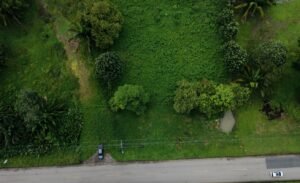 Foto 9-11-24, 10 12 04 a. m.