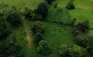 Foto 9-11-24, 10 12 22 a. m.