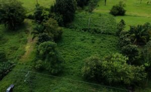 Foto 9-11-24, 10 12 50 a. m.