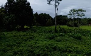 Foto 9-11-24, 10 13 37 a. m.