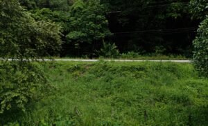 Foto 9-11-24, 10 13 44 a. m.