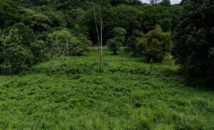 Foto 9-11-24, 10 14 31 a. m.