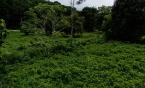 Foto 9-11-24, 10 14 44 a. m.