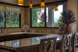 View out kitchen window