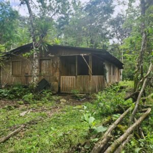 WhatsApp Image 2025-01-19 at 8.16.48 AM (1)