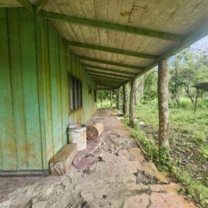 WhatsApp Image 2025-01-19 at 8.16.48 AM (2)