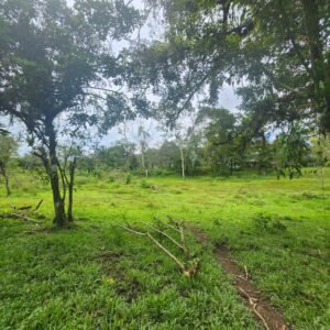 WhatsApp Image 2025-01-19 at 8.16.48 AM