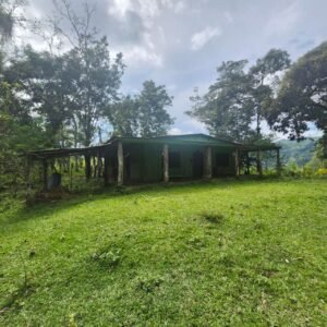 WhatsApp Image 2025-01-19 at 8.16.49 AM (2)