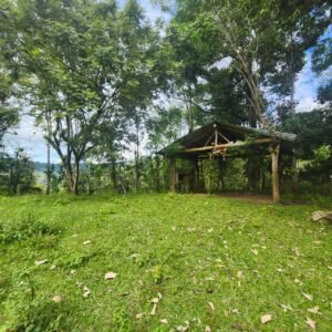 WhatsApp Image 2025-01-19 at 8.16.49 AM (3)