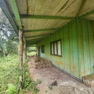 WhatsApp Image 2025-01-19 at 8.16.49 AM