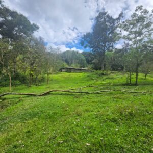 WhatsApp Image 2025-01-19 at 8.16.50 AM (1)